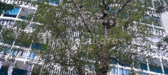 Propriété commerciale à Collegno, Italy 350m² No. 274557 4