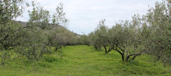 105 m² propiedad en venta en Neapoli, Agios Nikolaos, Lasithi, Crete, Greece № 5133 5