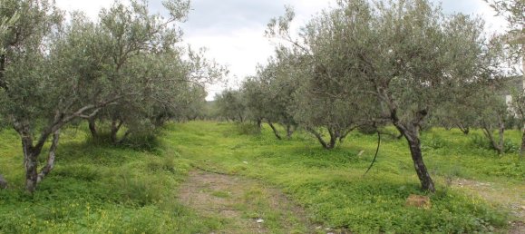 105 m² propiedad en venta en Neapoli, Agios Nikolaos, Lasithi, Crete, Greece № 5133 9