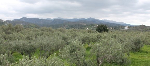 105 m² propiedad en venta en Neapoli, Agios Nikolaos, Lasithi, Crete, Greece № 5133 7