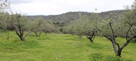 105 m² propiedad en venta en Neapoli, Agios Nikolaos, Lasithi, Crete, Greece № 5133 4