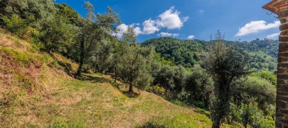 8 bedrooms House in Marliana, Italy No. 296944 29