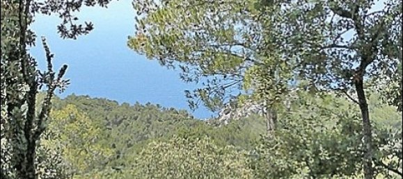  قطعة أرض في Valldemosa, Spain رقم 14798 4