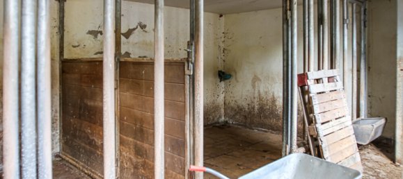 4 rooms House in Euskirchen, Germany No. 146285 41