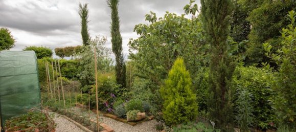 6 rooms House in Castiglione del Lago, Italy No. 56890 29