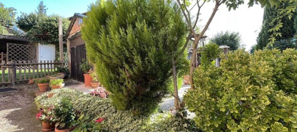 6 rooms House in Castiglione del Lago, Italy No. 56890 6