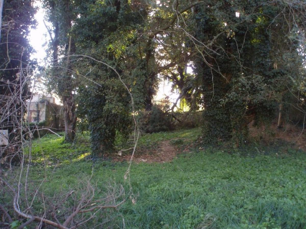  Land in Mar del Plata, Argentina No. 120908