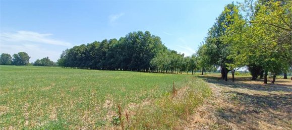 1-Zimmer Grundstück in Fidenza, Italy, Nr. 283362 8