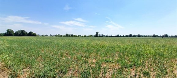 1-Zimmer Grundstück in Fidenza, Italy, Nr. 283362 25