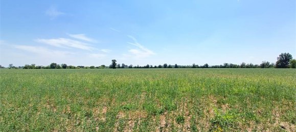 1-Zimmer Grundstück in Fidenza, Italy, Nr. 283362 29