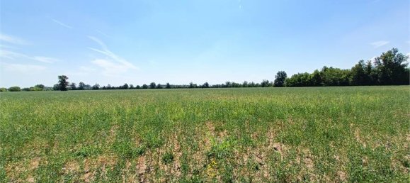 1-Zimmer Grundstück in Fidenza, Italy, Nr. 283362 28