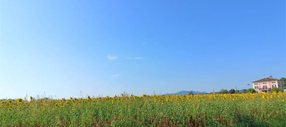 1-Zimmer Grundstück in Fidenza, Italy, Nr. 283362 16