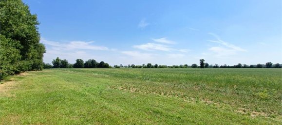 1-Zimmer Grundstück in Fidenza, Italy, Nr. 283362 3