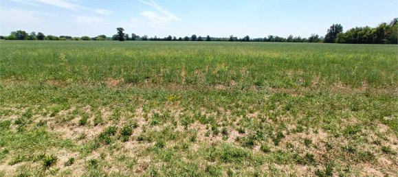 1-Zimmer Grundstück in Fidenza, Italy, Nr. 283362 24