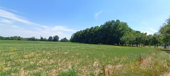 1-Zimmer Grundstück in Fidenza, Italy, Nr. 283362 7