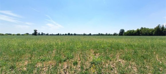 1-Zimmer Grundstück in Fidenza, Italy, Nr. 283362 27