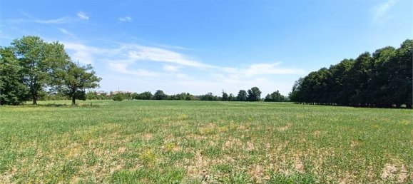 1-Zimmer Grundstück in Fidenza, Italy, Nr. 283362 18