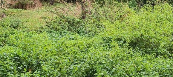 2 bedrooms House in Eure-et-Loir, France No. 265100 17