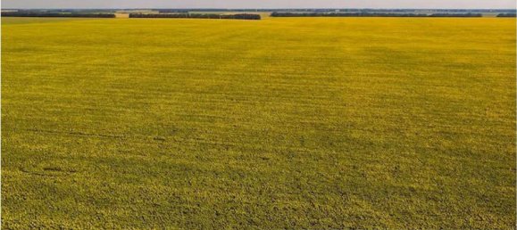 761m² Land in Pavullo nel Frignano, Italy No. 306839 11