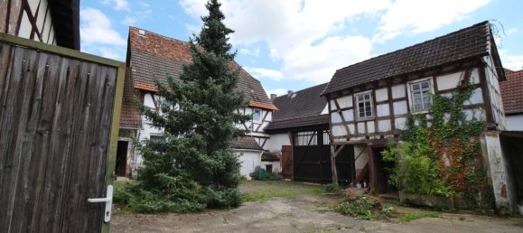 11-Zimmer Bauernhof in Darmstadt-Dieburg, Germany, Nr. 145110 10