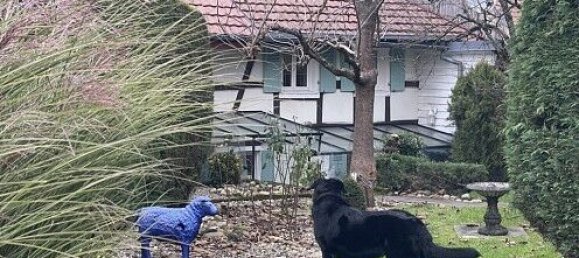 Casa de 1 dormitorio en Pfetterhouse, France No. 38380 26