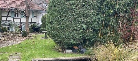 Casa de 1 dormitorio en Pfetterhouse, France No. 38380 39