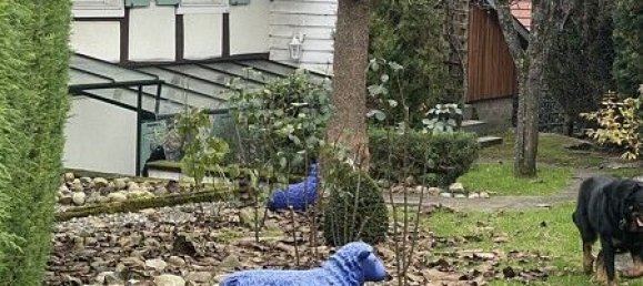 Casa de 1 dormitorio en Pfetterhouse, France No. 38380 28