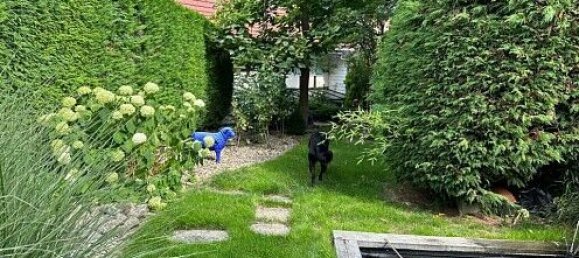 Casa de 1 dormitorio en Pfetterhouse, France No. 38380 18