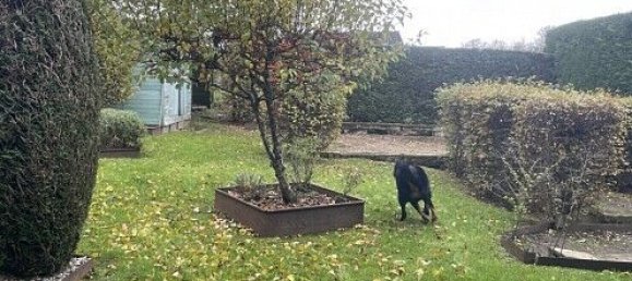 Casa de 1 dormitorio en Pfetterhouse, France No. 38380 10