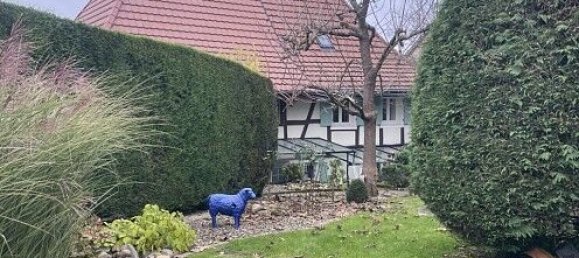 Casa de 1 dormitorio en Pfetterhouse, France No. 38380 5