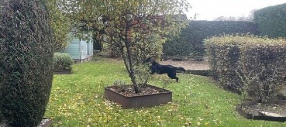 Casa de 1 dormitorio en Pfetterhouse, France No. 38380 41