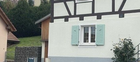 Casa de 1 dormitorio en Pfetterhouse, France No. 38380 12