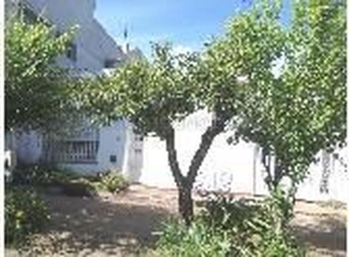 2 bedrooms House in Bermudez, Argentina No. 4805