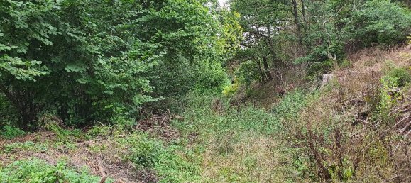 Terreno em Oberbergischer, Germany N.º 177550 2