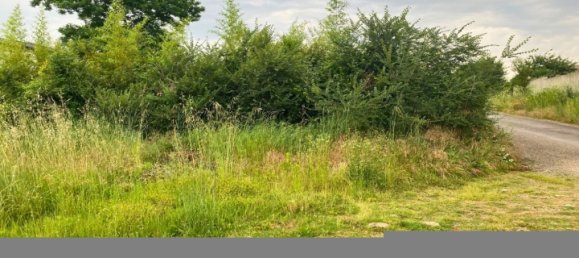 Земельный участок 442м² в Роман-сюр-Изер, Франция № 101607 3