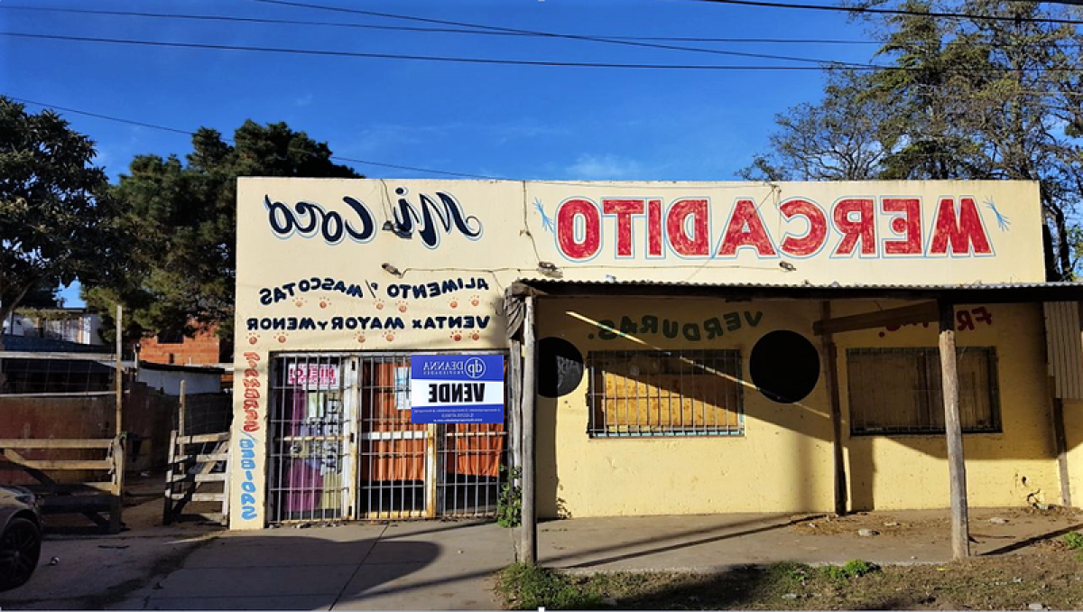 450m² Building in Mar del Plata, Argentina No. 108988