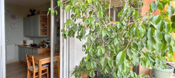 4 rooms Apartment in Cogoleto, Italy No. 261392 9