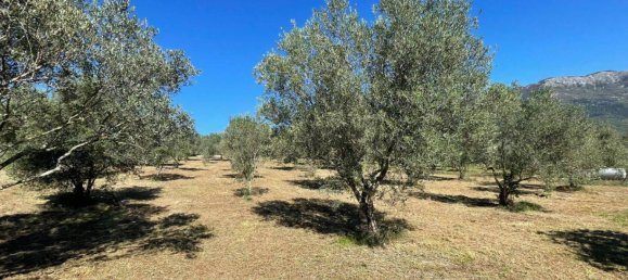 Castelos T4 em Alvito, Italy N.º 55821 21