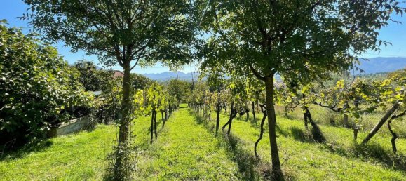 Castelos T4 em Alvito, Italy N.º 55821 24