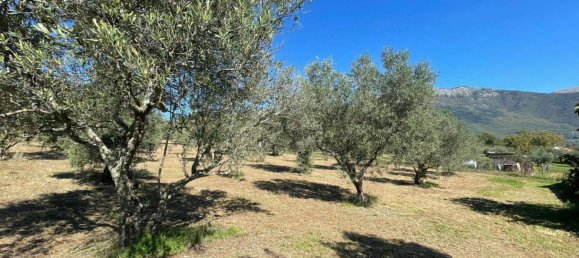 Castelos T4 em Alvito, Italy N.º 55821 30