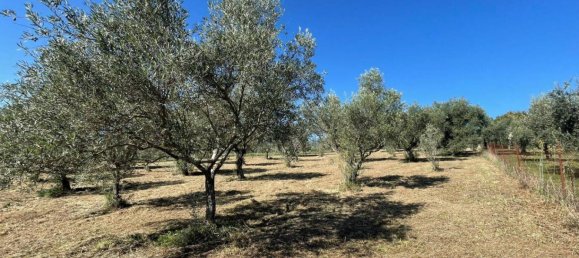 Castelos T4 em Alvito, Italy N.º 55821 25