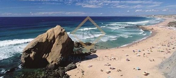 13890m² Land in Torres Vedras, Portugal No. 135867 3