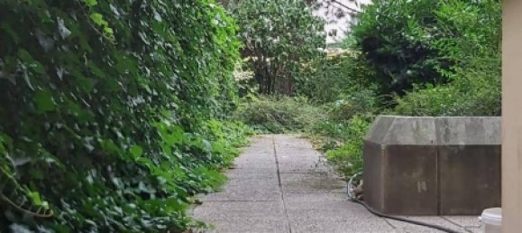 4-Zimmer Gewerbliche Immobilie in Brigittenau, Austria, Nr. 153793 7