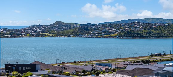 574m² Land in Aotea, New Zealand No. 136 2