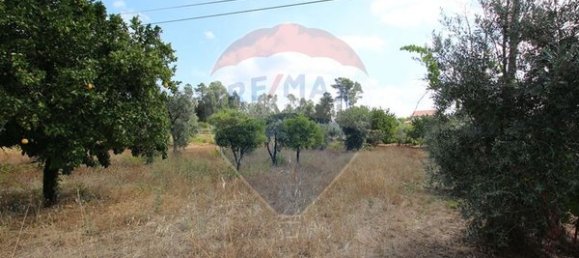 750m² Land in Senhorim, Portugal No. 38060 3