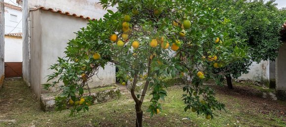 4 غرف نوم منزل في Abrantes, Portugal رقم 185129 10