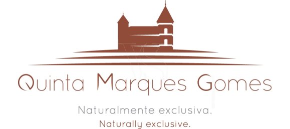 5 bedrooms Land in Vila Nova de Gaia, Portugal No. 182783 11