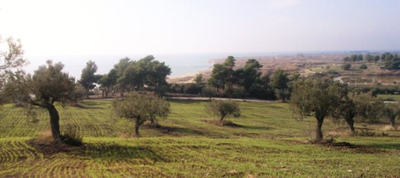 Hotel em Polygyros, Greece 45000 m² N.º 5407 4