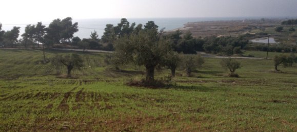 Hotel em Polygyros, Greece 45000 m² N.º 5407 2