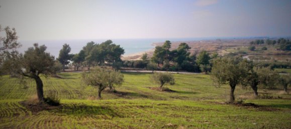 Hotel em Polygyros, Greece 45000 m² N.º 5407 3